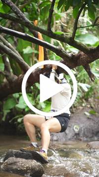 BIB:  <button type="button" onclick="openModal(27554375)" class="btn btn-primary btn-sm float-right" data-toggle="modal" data-target=".modal-high-quality">
                <i class="fa fa-download"></i> Download
                </button>